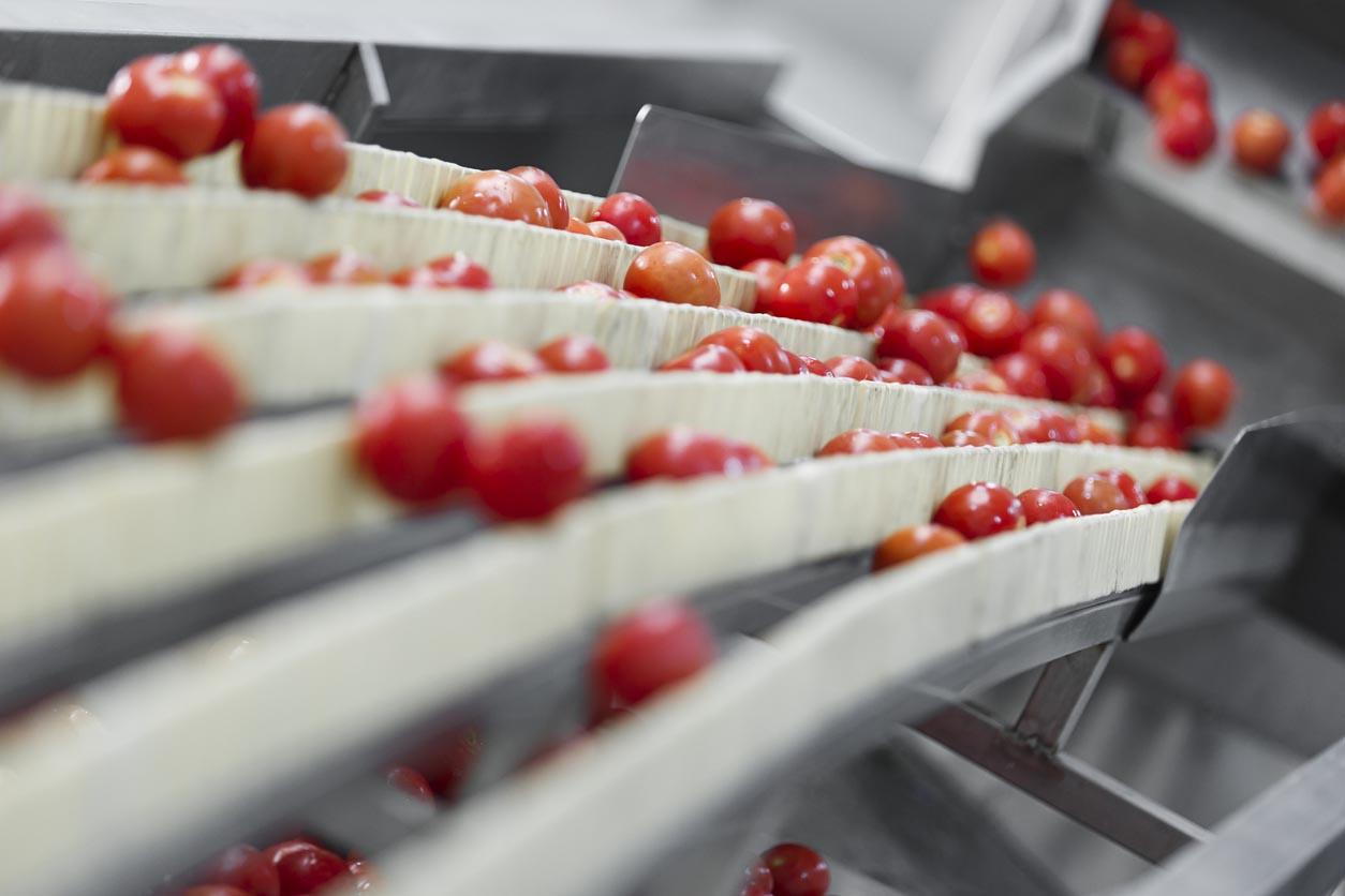 Machine Vision Growth in Food & Beverage Industry